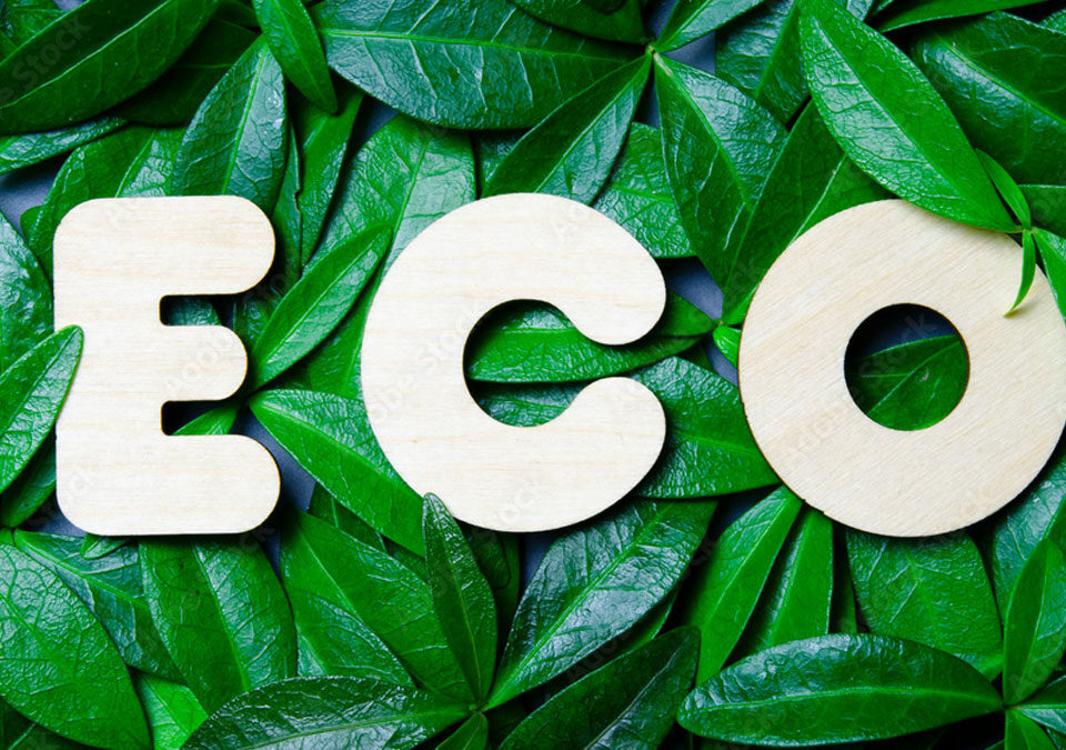 Eco-friendly Labels